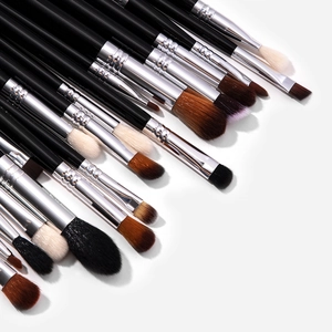 19-piece professional eye makeup brush set with matte black handles and silver ferrules