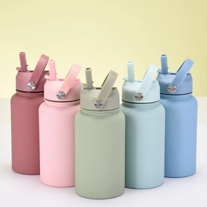 Row of matte 650ml sports bottles with straw lids in five vibrant colors including pink and blue