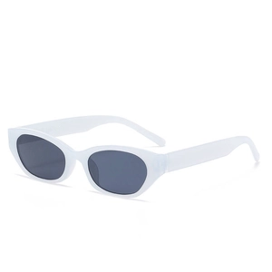 Retro oval sunglasses with thick white frames and dark grey lenses in front view