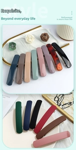 Multi-color matte and glossy long spring hair clips shown with various aesthetic colors