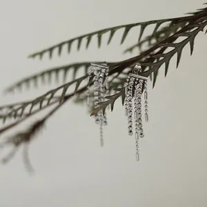 Elegant silver tassel earrings with glittering rhinestones on polished titanium steel base