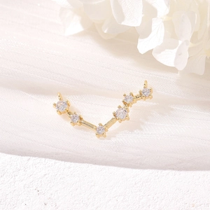14k vergoldeter Sternzeichen-Anhänger mit Zirkonia-Steinen auf weißen Blütenblättern