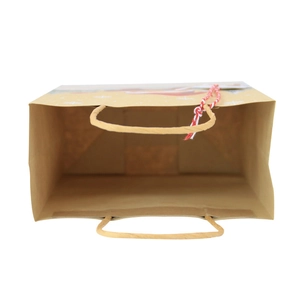 Christmas kraft paper gift bag with festive animal tag and snowflake pattern detail