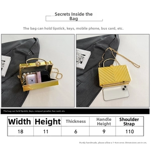 Detailed size chart and internal capacity guide for acrylic evening clutch with metal handle