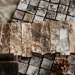 Natural birch bark squares and strips for DIY decor with pine cones in a rustic setting