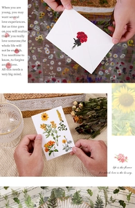 Close-up of PET transparent floral stickers featuring roses and ferns for DIY crafts
