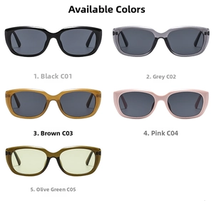 Fünf Farboptionen für Retro-Quadrat-Sonnenbrillen in Schwarz, Grau, Tee, Rosa und Olivgrün