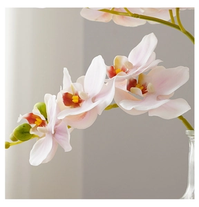 Macro detail of artificial pink phalaenopsis orchid petals and buds in a glass vase