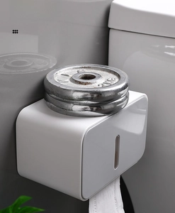 Detail showing strong weight-bearing capacity on wall-mounted bathroom tissue box