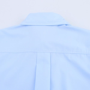 Rückansicht der hellblauen Popeline-Bluse mit klassischer Kellerfalte und sauberen Nähten