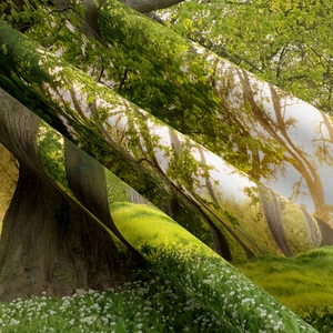 Close-up of high-definition forest print tapestry with fine cross-woven cotton fabric texture