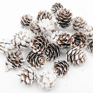 Natural Pine Cones Snow Tipped White Wood Miniature Pinecones For Christmas Decoration DIY Craft Rustic Home Decor