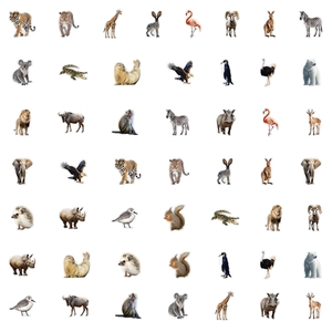 Detailed grid showing waterproof animal stickers including tigers, lions and elephants