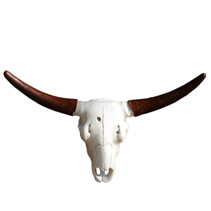 Realistic resin cow skull wall hanging decor with brown horns for rustic home and garden style