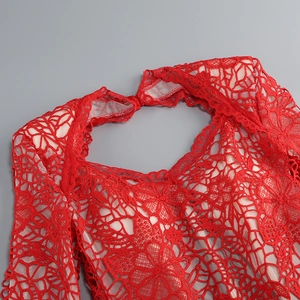 Gros plan détaillé sur la texture dentelle rouge ajourée et les motifs floraux