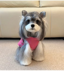 Close-up of pink padded pet vest with green buttons on a Schnauzer in home setting