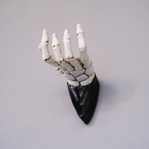 Close-up of a white resin 3D skeleton hand wall hook with a black base for home decor