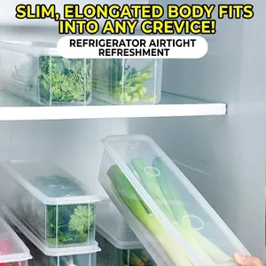 Transparent airtight long vegetable storage box for scallion and cilantro in refrigerator