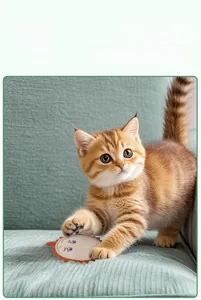Orange kitten playing with a felt fruit-shaped cat toy on a soft green sofa