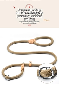 Detail of khaki nylon braided dog leash featuring leather reinforced stitching and metal ring