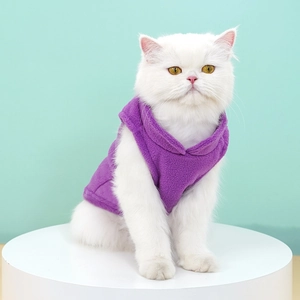 White cat wearing a purple fleece hooded pet vest on a mint green background