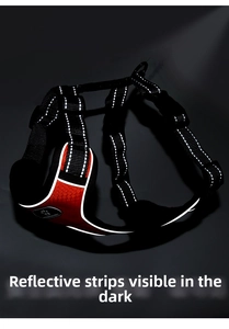 Detail of red dog harness with high-visibility reflective strips for night safety