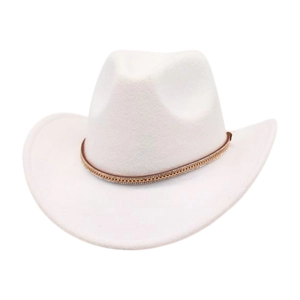 Close-up of a white felt cowboy hat with a brown leather band and diamond embellishments