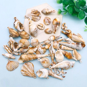 Dettaglio macro di conchiglie naturali miste e stelle marine per creazione gioielli fai da te