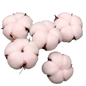 Natuurlijk roze gedroogde katoenen bloemhoofdjes met ijzerdraad voor DIY boeketten