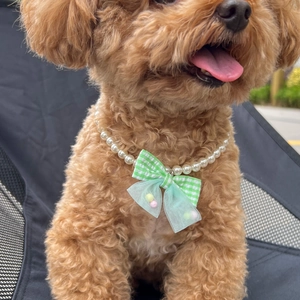 Detail of pet pearl necklace with green plaid bow and tulle worn by a cat on a seat