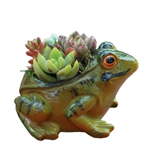 Frog succulent flower pot made of painted resin for home and garden micro landscape decor