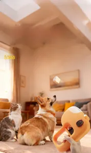 Action shot of orange pet snack launcher toy with Corgi and cat in cozy home setting