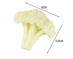 Detailed view of artificial cauliflower model with size labels 6cm width and 5.5cm height