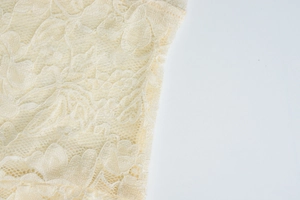 Close-up detail of floral lace fabric with intricate mesh embroidery and light beige texture