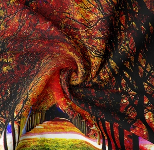 Detail of autumn forest landscape digital print on premium soft hanging tapestry fabric