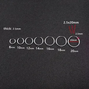 Titanium steel hoop earrings set showing various sizes from 8mm to 20mm with 2.5mm thickness
