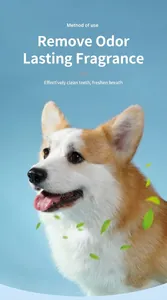 Detailed guide showing pet dental wipes usage for cleaning dog teeth and fresh breath