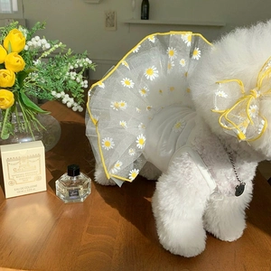 Detail eines weißen Hundekleids mit Gänseblümchenmuster und passender Schleife
