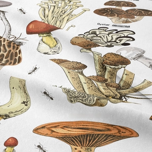 Close-up of bohemian tapestry fabric texture with vintage mushroom and ant illustration