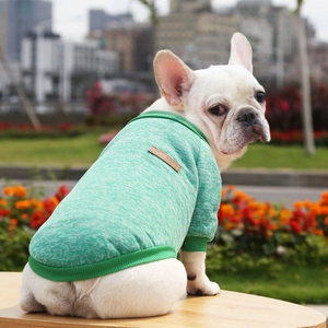 Detail of green knit pet sweater with ribbed cuffs and classic leather tag on Frenchie