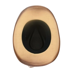Vue détaillée d'un chapeau de cowboy avec bandeau intérieur noir et texture tressée dorée