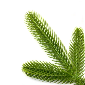 Artificial pine needles branch for Christmas DIY decor with green needle branches
