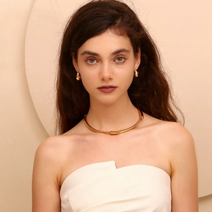 Minimalist 18K gold plated stainless steel choker necklace and hammered earrings set