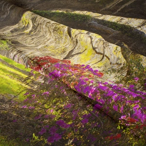 Dettaglio dell'arazzo della foresta che mostra la trama intrecciata e i fiori vivaci