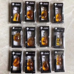 Set of 12 real insect specimen amber resin teardrop keychains in gift boxes