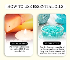 Essential oil usage guide infographic detail showing candle burner and aroma stone steps.