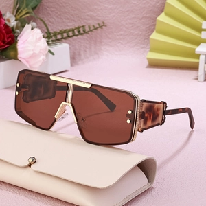 Steampunk oversized shield sunglasses with brown lenses and a minimalist eyewear case