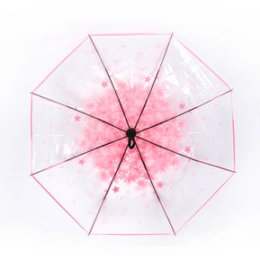 Top view of automatic transparent umbrella with pink cherry blossom floral pattern