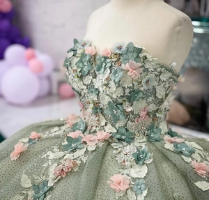 Detailed view of 3D floral embroidery and beaded bodice on sage green ball gown