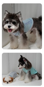 Detail of breathable two-tone summer pet vest with outdoor print for small dogs
